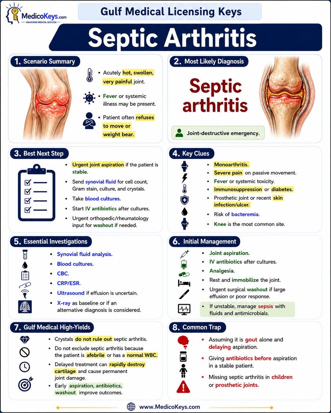 Gulf Medical Licensing Exams high-yield visual and color-coded free sample page 4