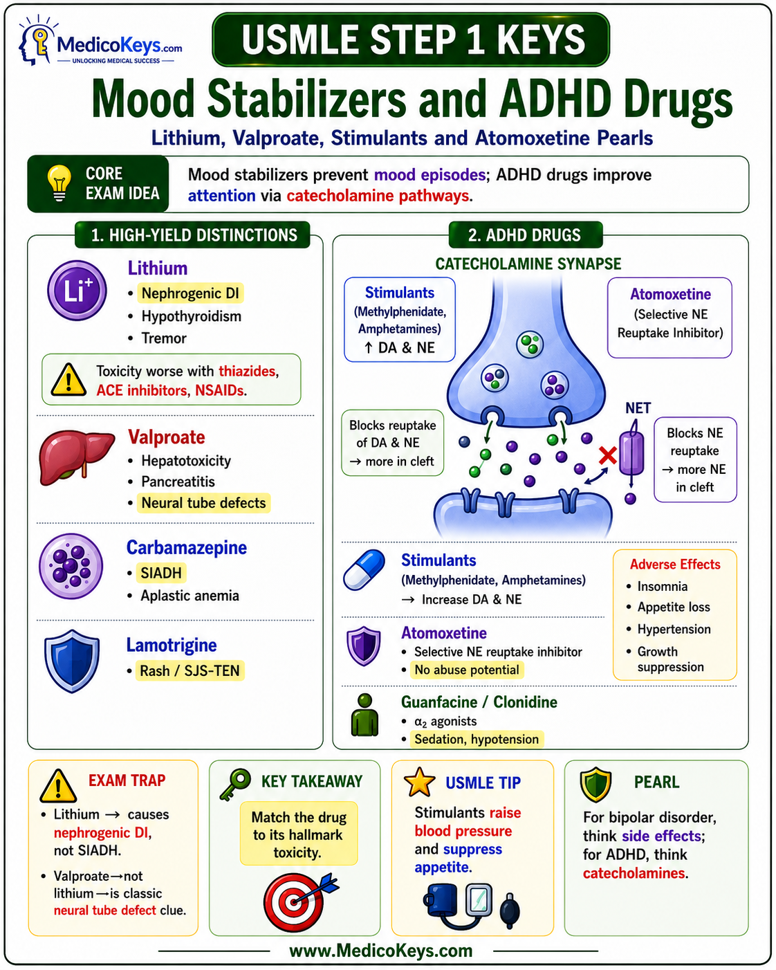 USMLE Step 1 updated high-yield visual and color-coded free sample page 4