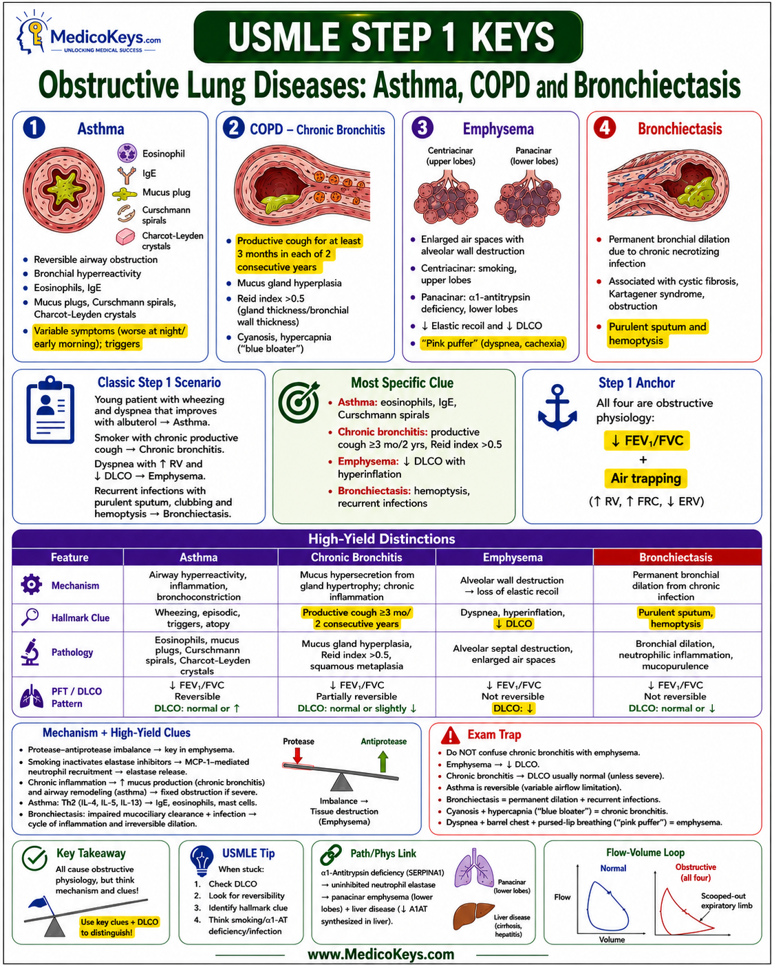 USMLE Step 1 updated high-yield visual and color-coded free sample page 6