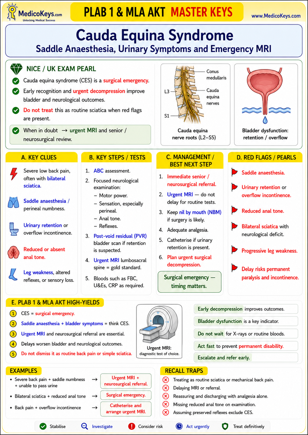 PLAB 1 and MLA AKT premium high-yield color-coded free sample page