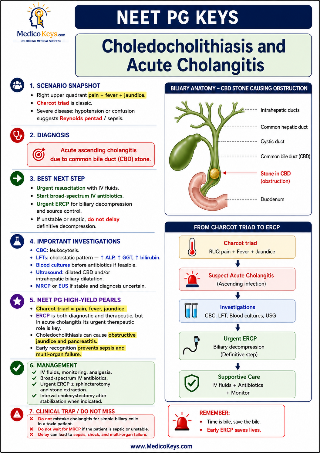 NEET PG premium visual and color-coded free sample page