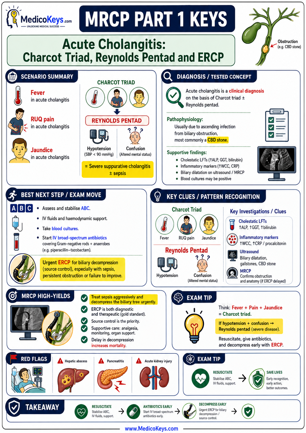 MRCP Part 1 premium visual and colour-coded free sample page