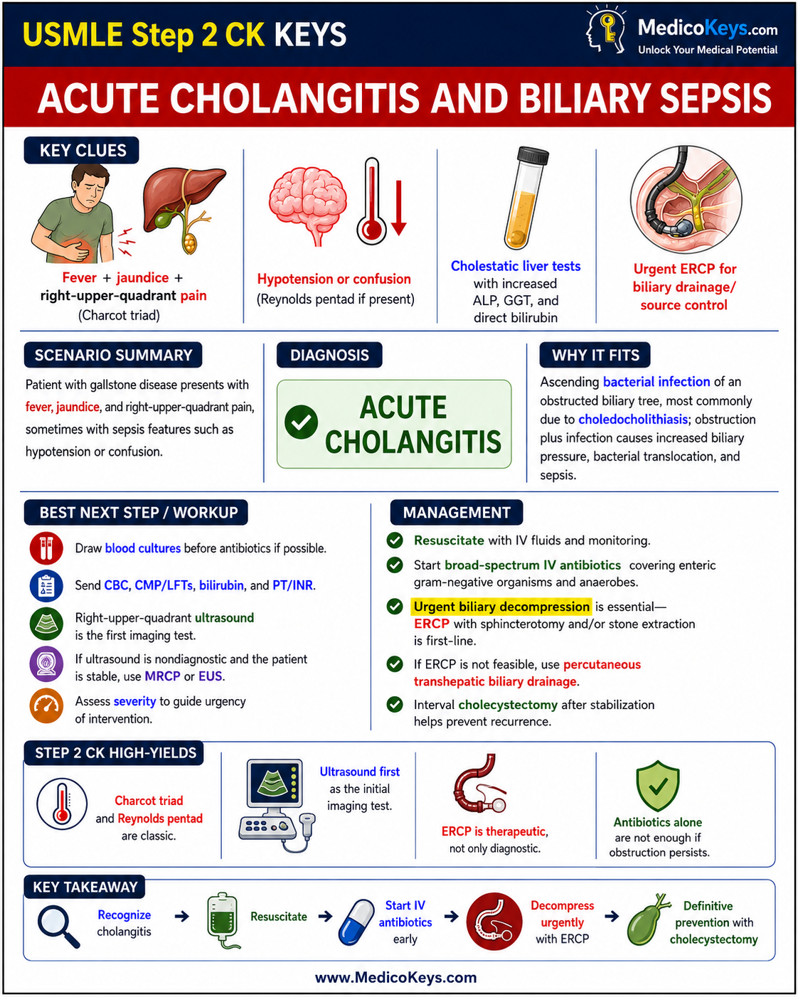 USMLE Step 2 CK free sample 6 showing premium visual color-coded clinical revision from MedicoKeys