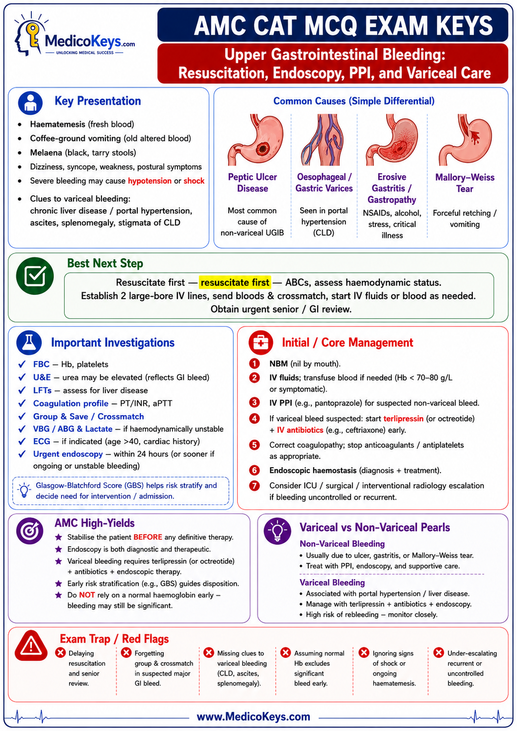 AMC CAT MCQ free sample 8 showing updated high-yield visual and color-coded exam-focused revision from MedicoKeys