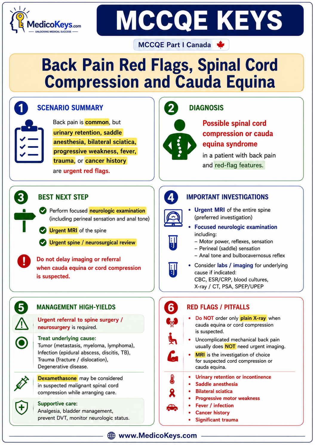 MCCQE Part I free sample 8 showing premium color-coded MedicoKeys revision content