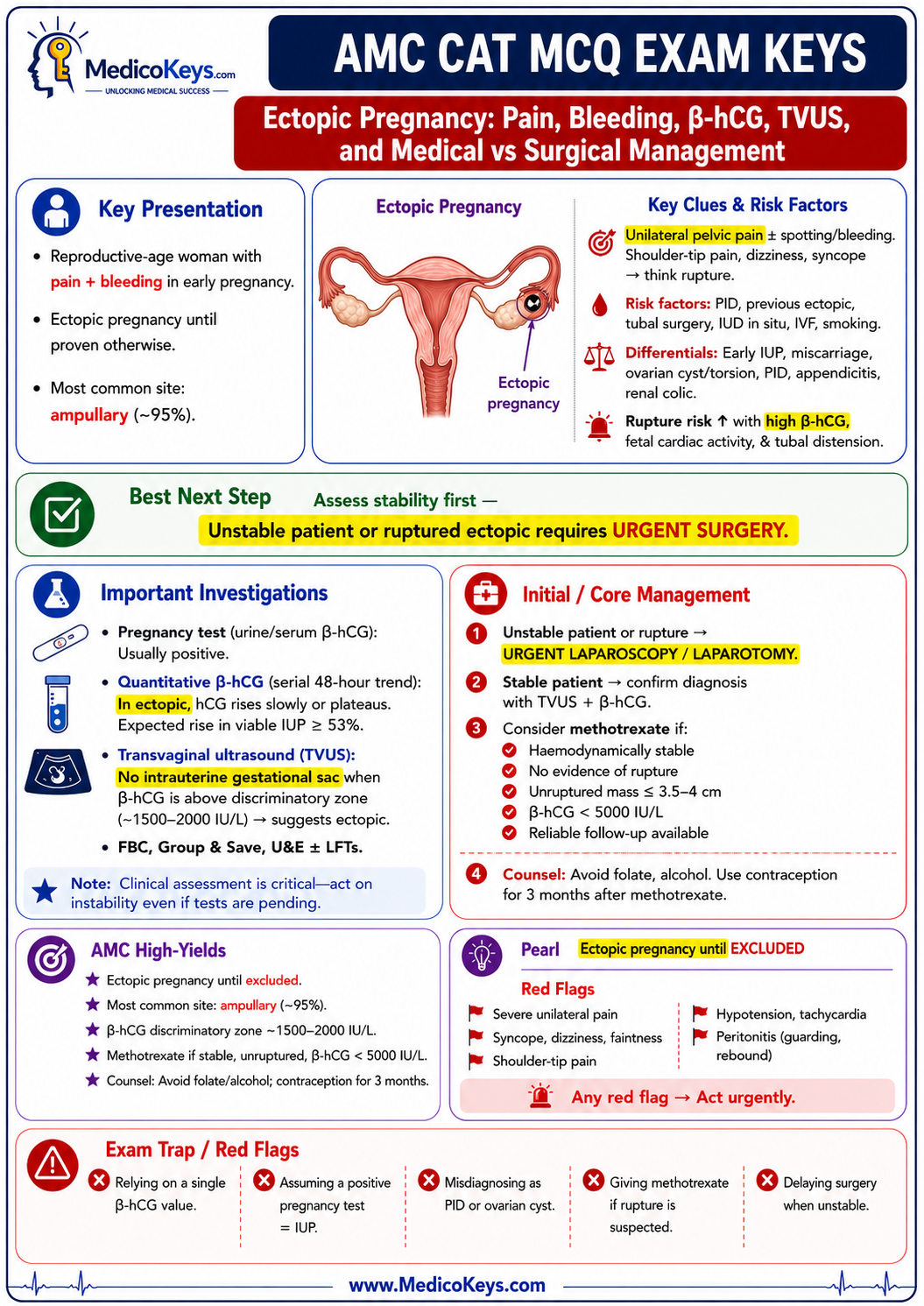 AMC CAT MCQ free sample 9 showing updated high-yield visual and color-coded exam-focused revision from MedicoKeys